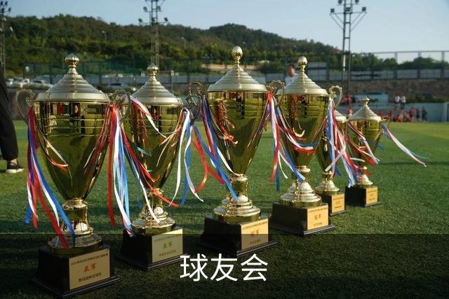 球友会公司简介图片
